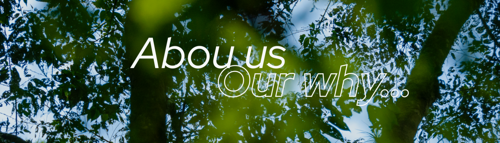 about us